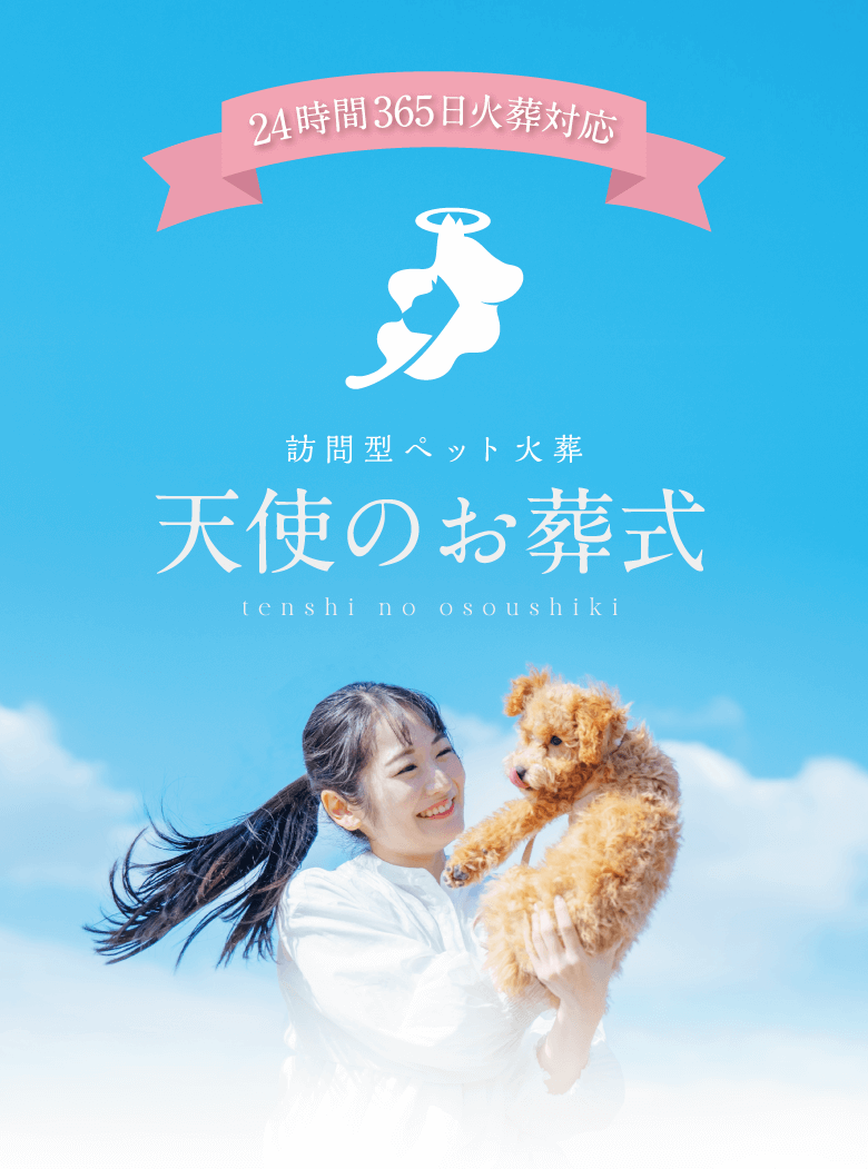 天使のお葬式